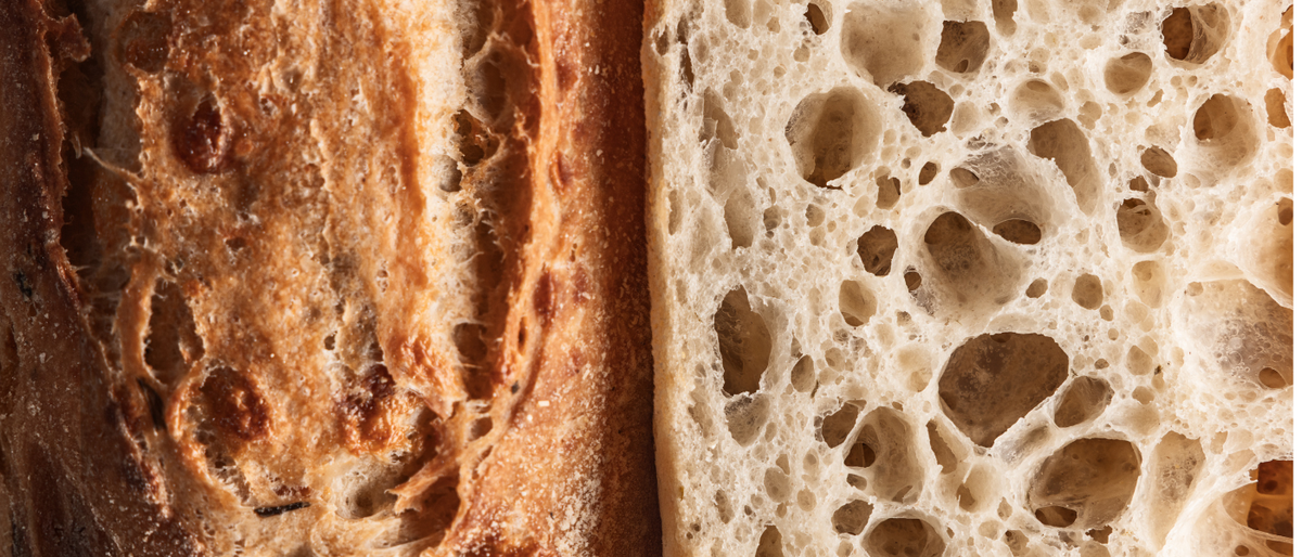 How Buckwheat Wakes Up a Sluggish Sourdough Starter