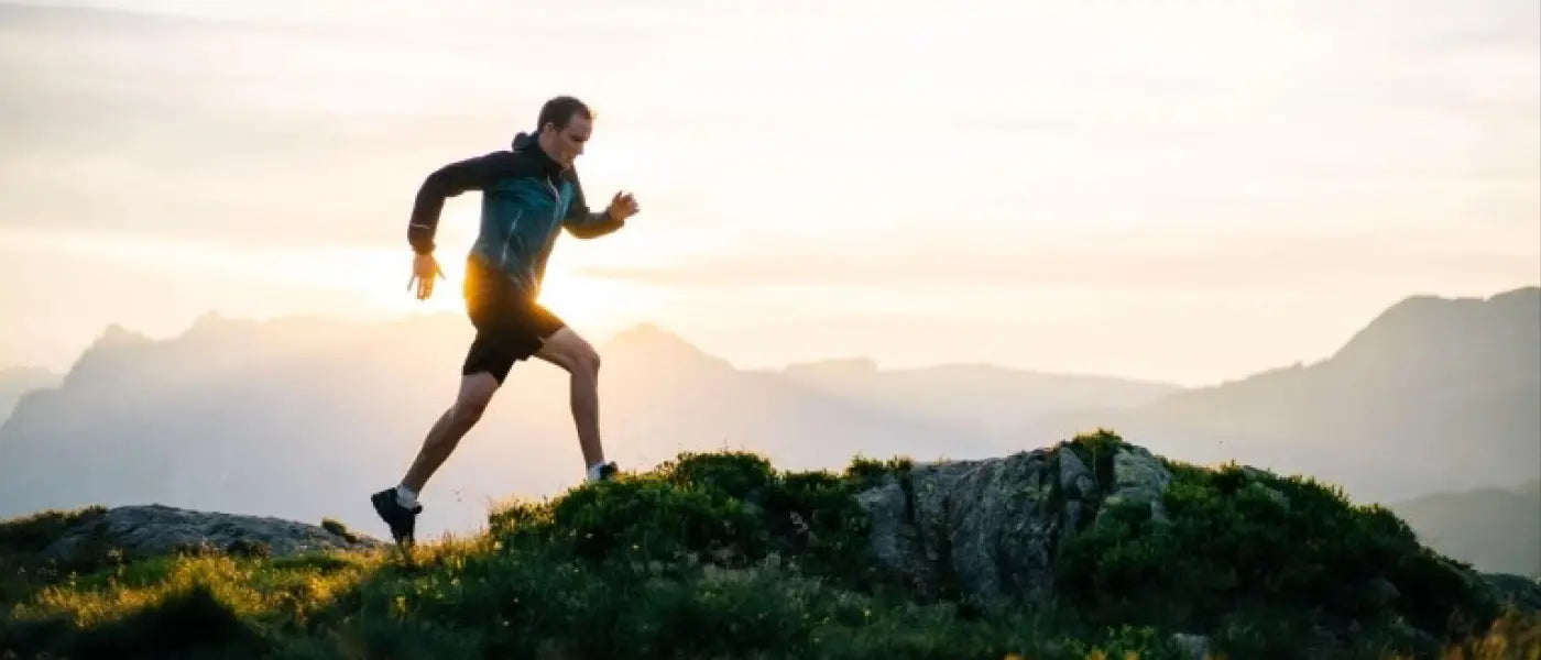 The powerful connection between immunity and metabolic wellness