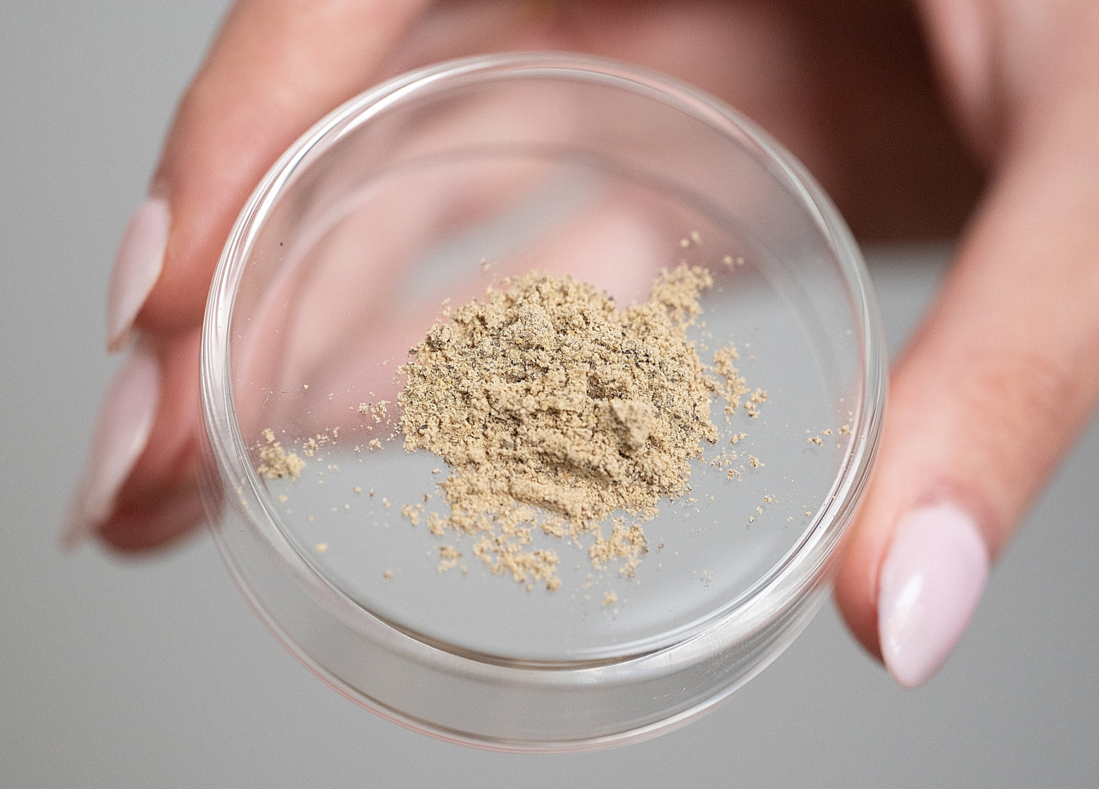 Whole-Food Science: Inside Big Bold Health’s Landmark Clinical Trial
