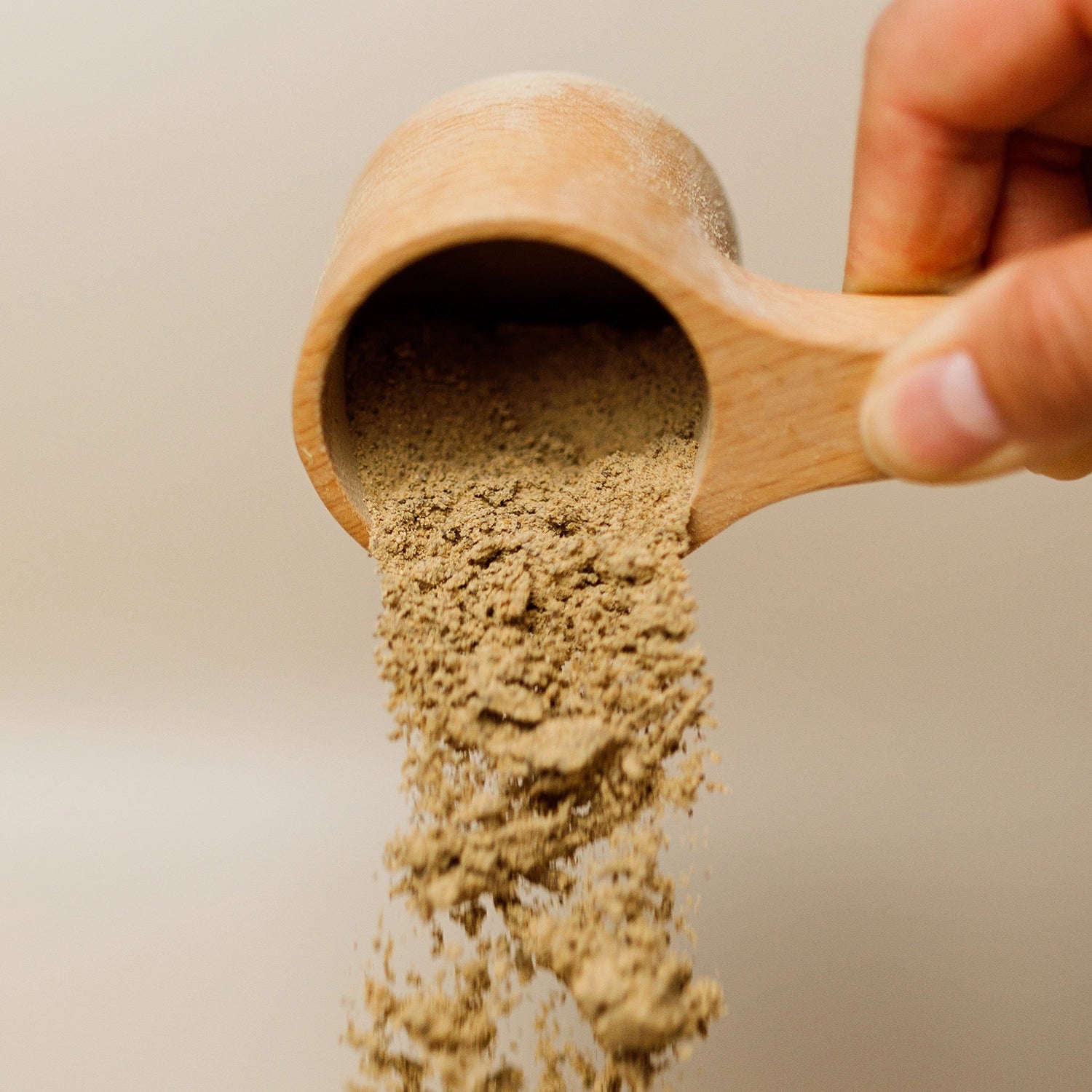 Himalayan Tartary Buckwheat Sprout Powder