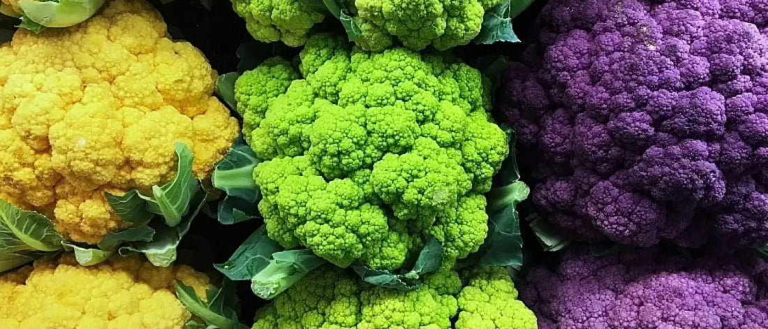 How to grocery shop for Immuno-Rejuvenation