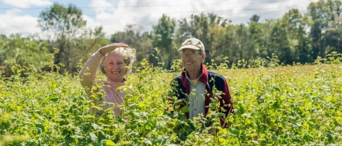 Meet the pioneer farmers behind Himalayan Tartary Buckwheat