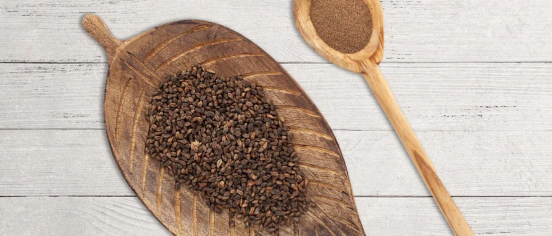 Why Not All “Healthy” Foods Work the Same Inside Your Body