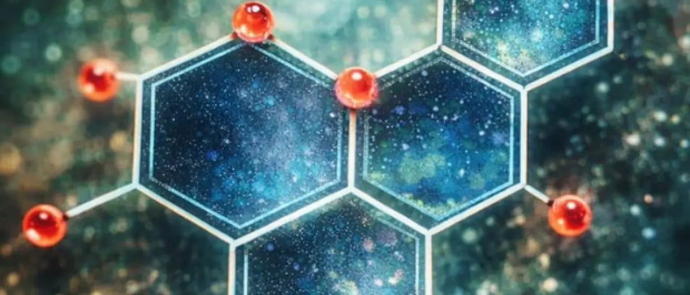 Polyphenols, the Gut, and Healthy Aging