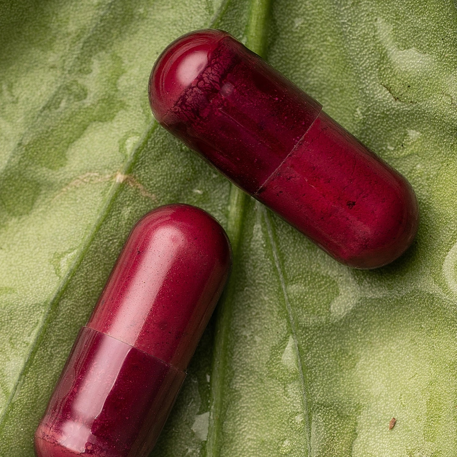 Microbiome Rejuvenate®