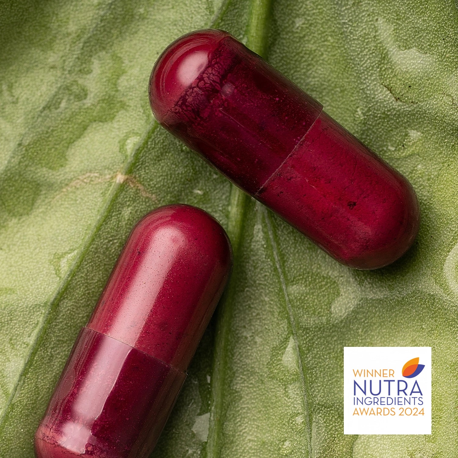 Two glossy dark red capsules placed on a green leaf surface.