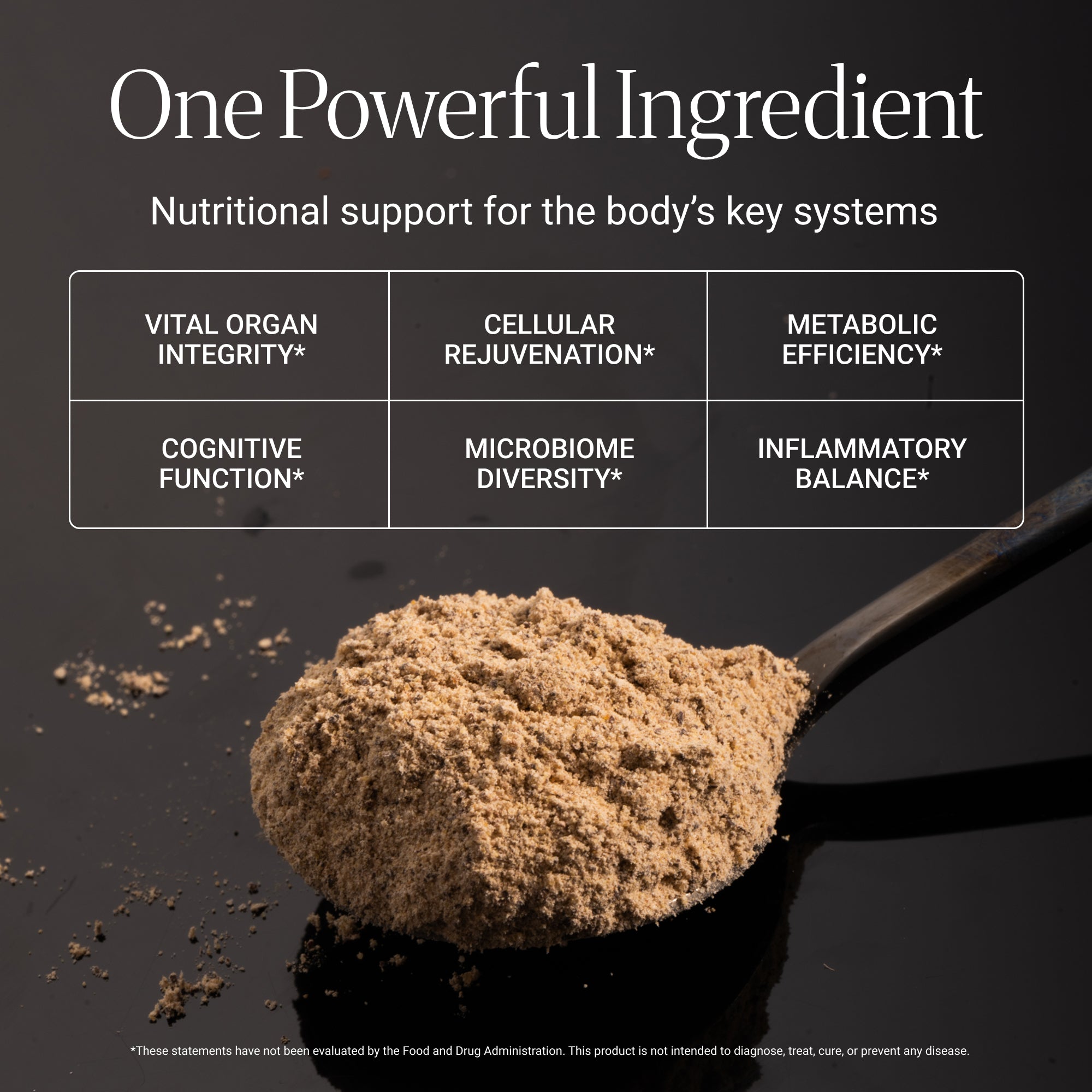Himalayan Tartary Buckwheat Sprout Powder