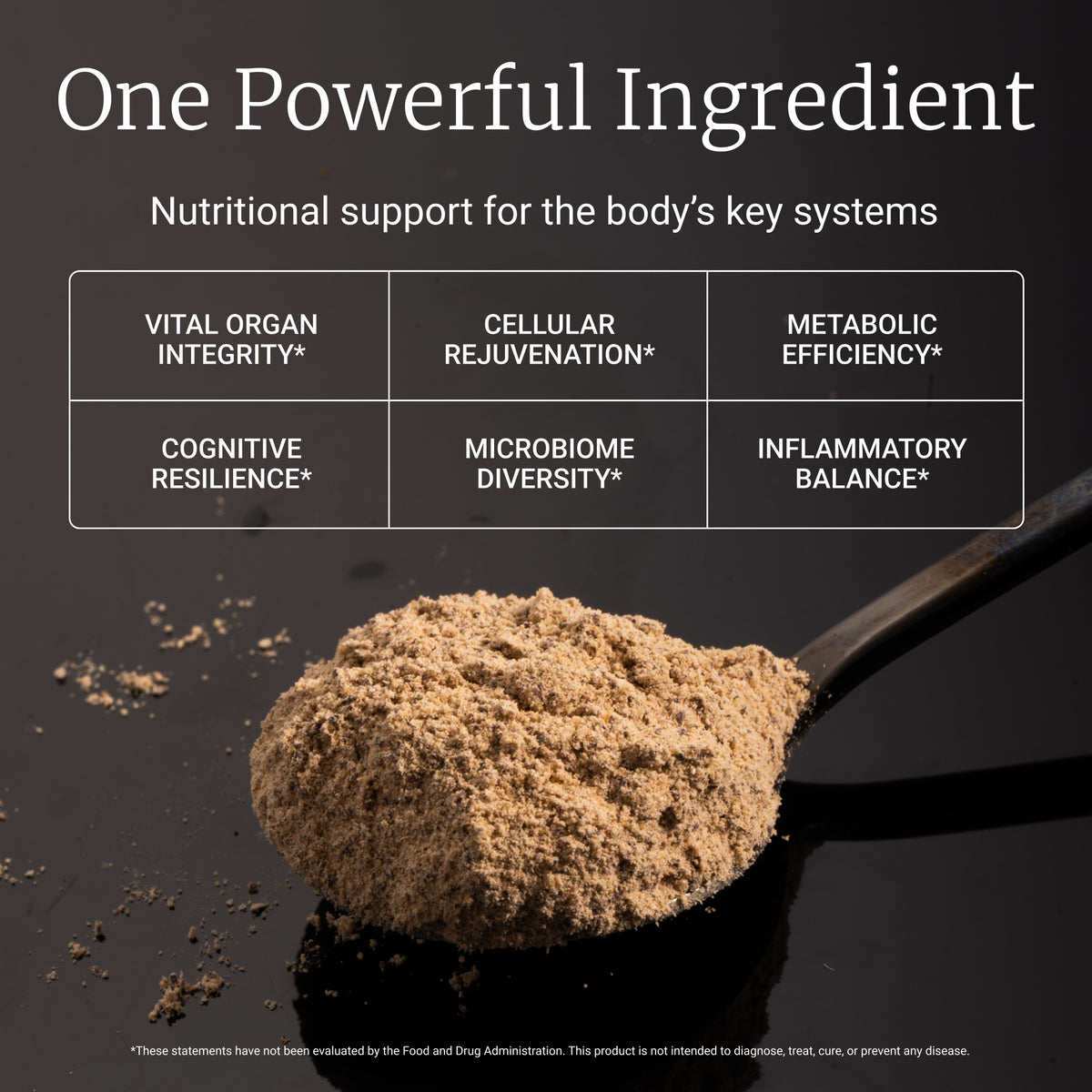 Himalayan Tartary Buckwheat Sprout Powder (as HTB Activ™)